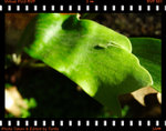 f/5.6