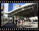 DPP_0036