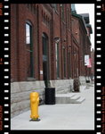 IMG_2919