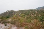 47190027
