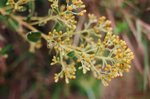 24110019