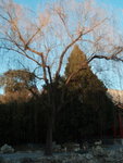 P1041676