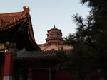 P1041751