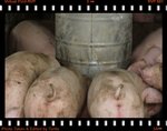 IMG_9920