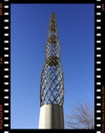 DPP_0081