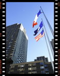 DPP_0095