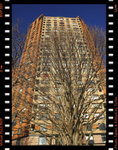 DPP_0104