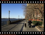 DPP_0105