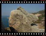 DPP_0065