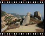 DPP_0071
