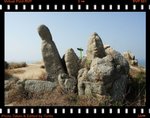 DPP_0079