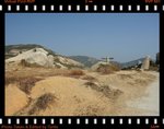 DPP_0081