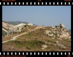 DPP_0101