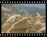 DPP_0180
