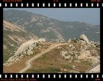DPP_0181