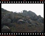 DPP_0190