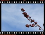 IMG_3425