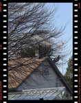 IMG_3432