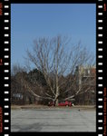 IMG_3433
