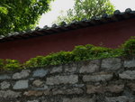 P7250331