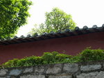 P7250332