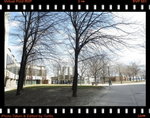 IMG_3255