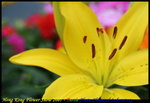 IMG_0169
