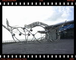 IMG_4624