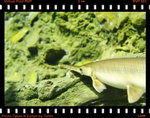 IMG_4627