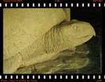 IMG_4632