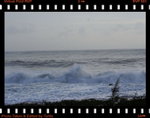 IMG_4676