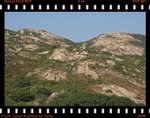DPP_0219