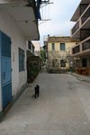 IMG_5173