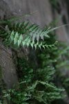 IMG_5182