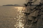 IMG_5217