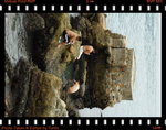 IMG_4203