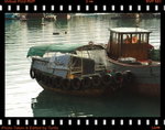 IMG_4278