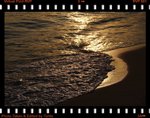 DPP_0066