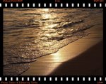 DPP_0067