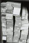 F1000030