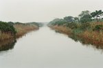 98430035
