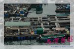 IMG_9736