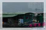 IMG_9748