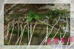 IMG_9757