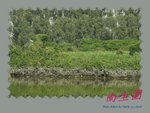 DPP_0005