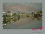 DPP_0088