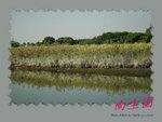 DPP_0089