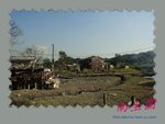 DPP_0104