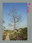 DPP_0106