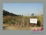 DPP_0108